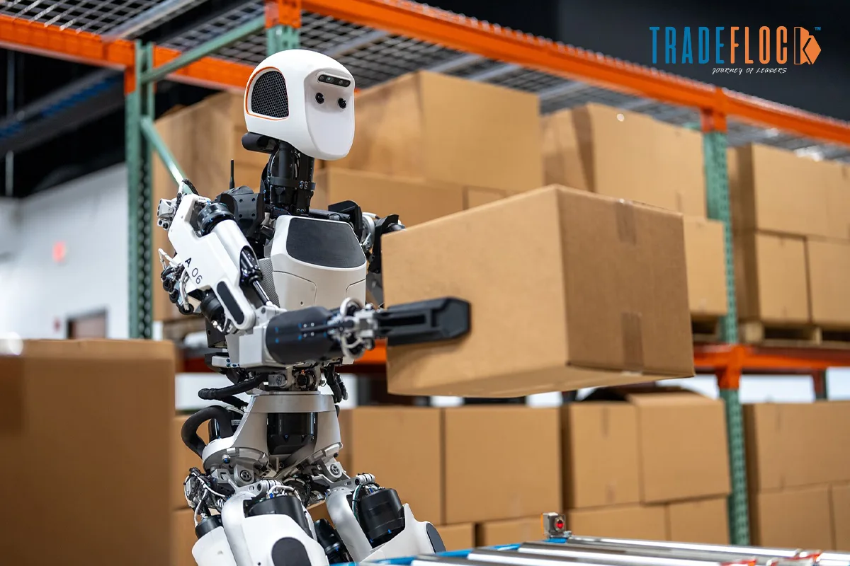 Warehouse Automation War in America