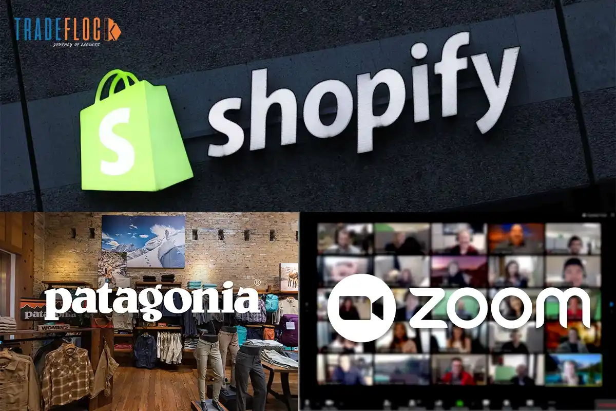 How Patagonia, Zoom & Shopify Thrived Amid Turbulence