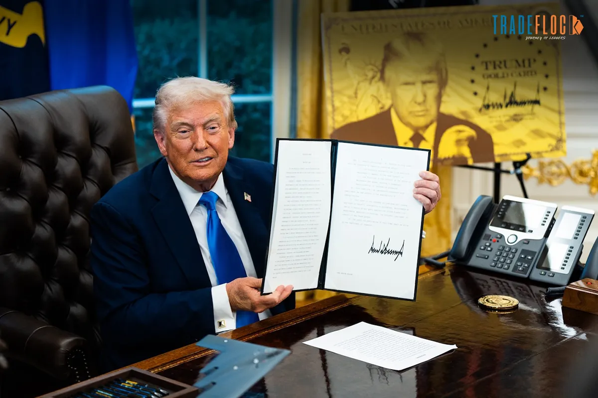 Experts Warn About the Consequences of H-1B Visa Fee Hike