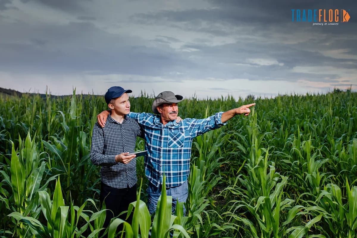US Shutdown Blocks Crop Data, Sends Grain Markets Into Limbo