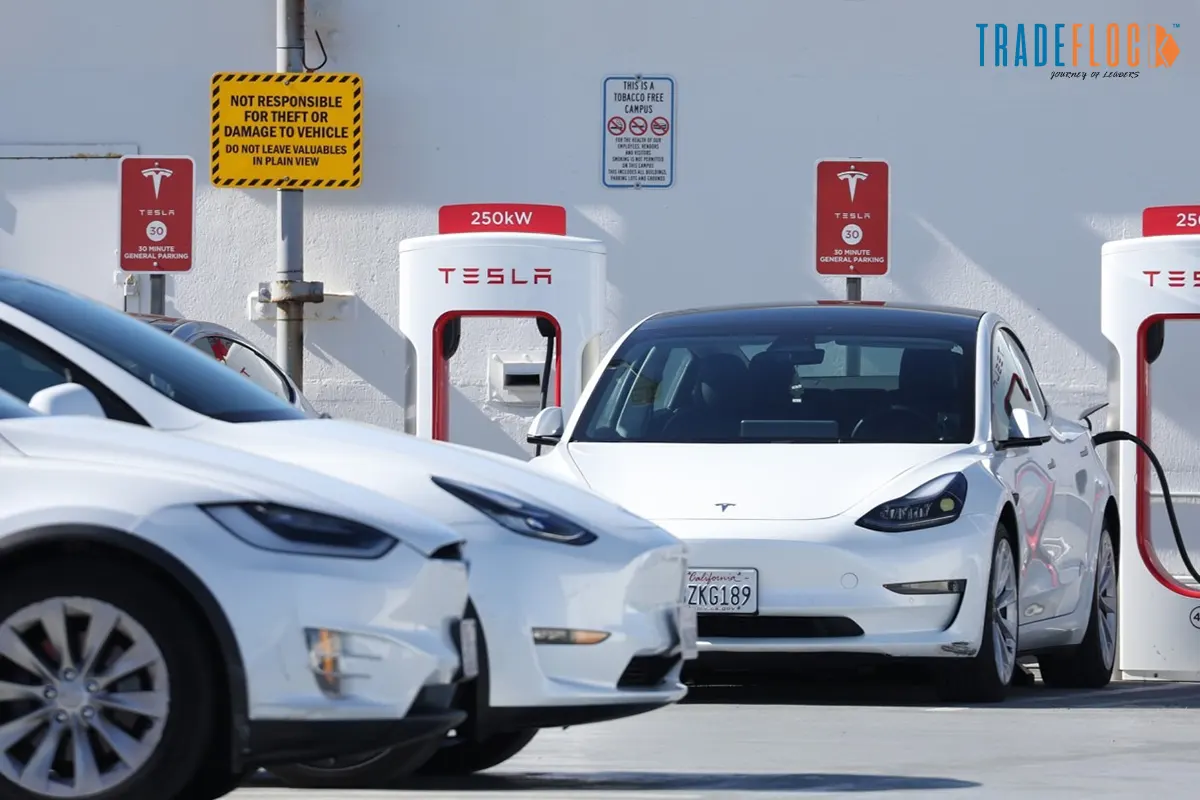 Tesla’s German EV Sales Drop Sharply in October 2025