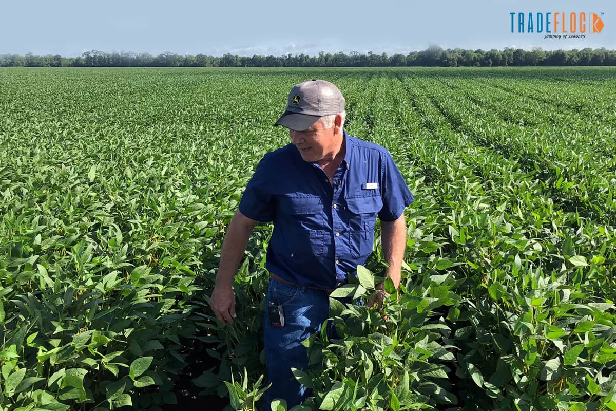 US Farmers to Get $12 Bn in Aid From Trump Administration