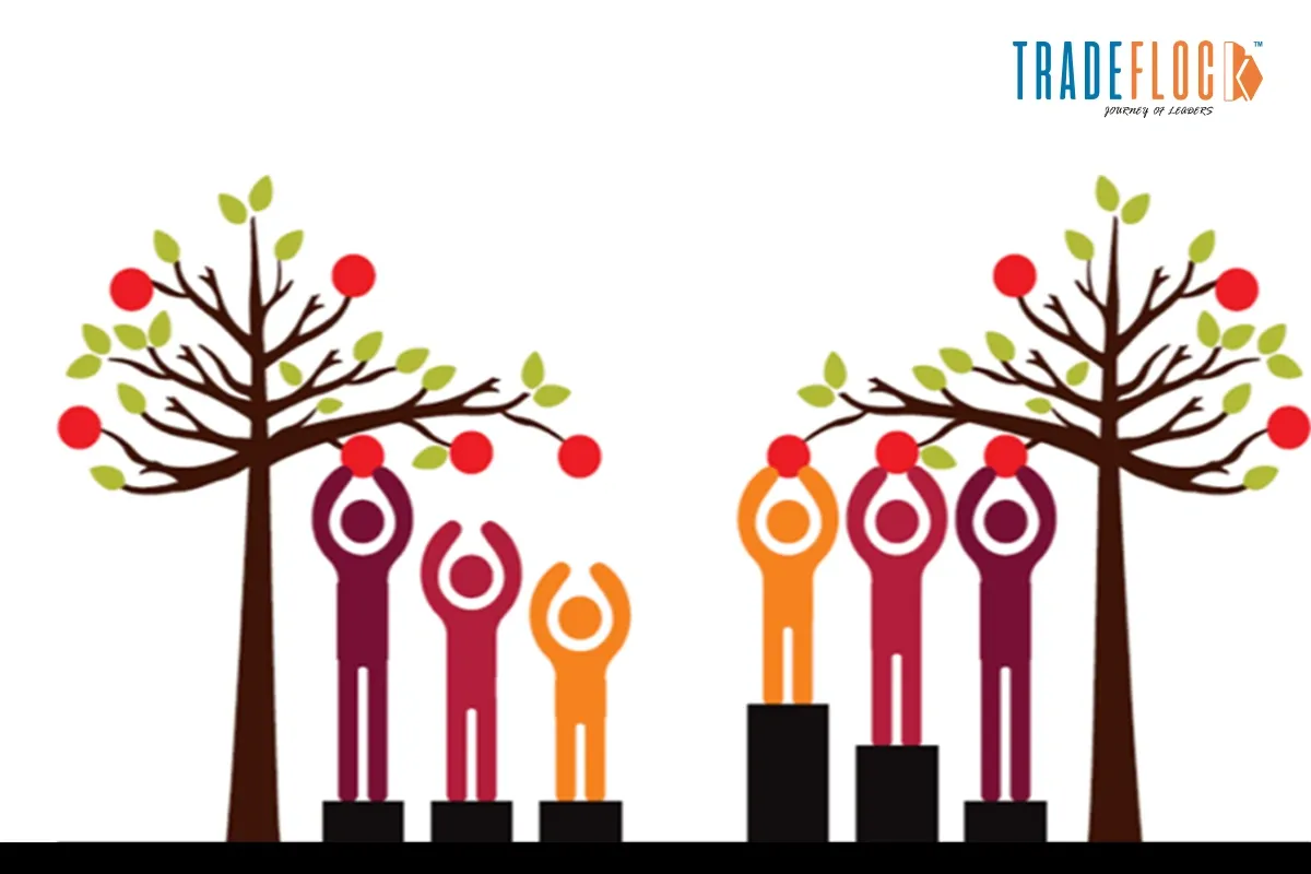 What’s Really Happening to DEI in Corporate America?