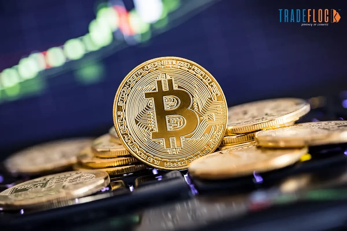 Bitcoin Eyes $100K as Bullish Winds Lift Crypto Markets