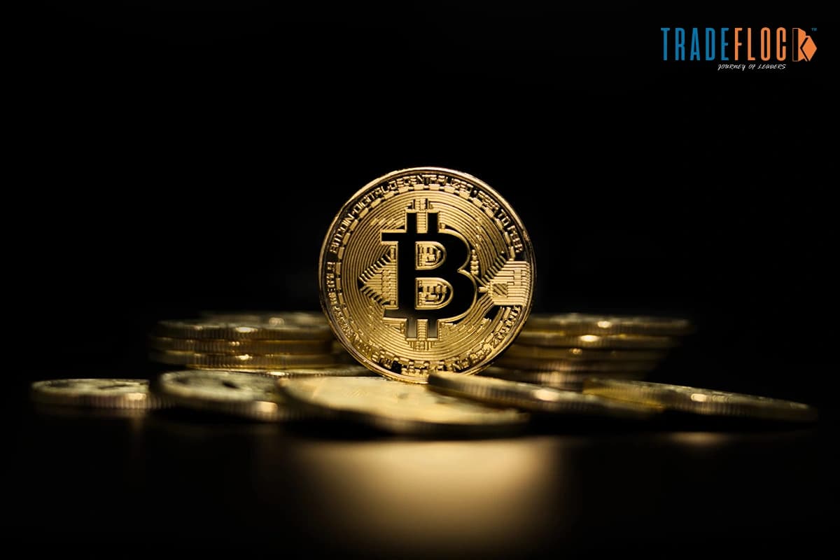 Bybit Loses $1.5 Billion to “Biggest Digital Heist Ever”