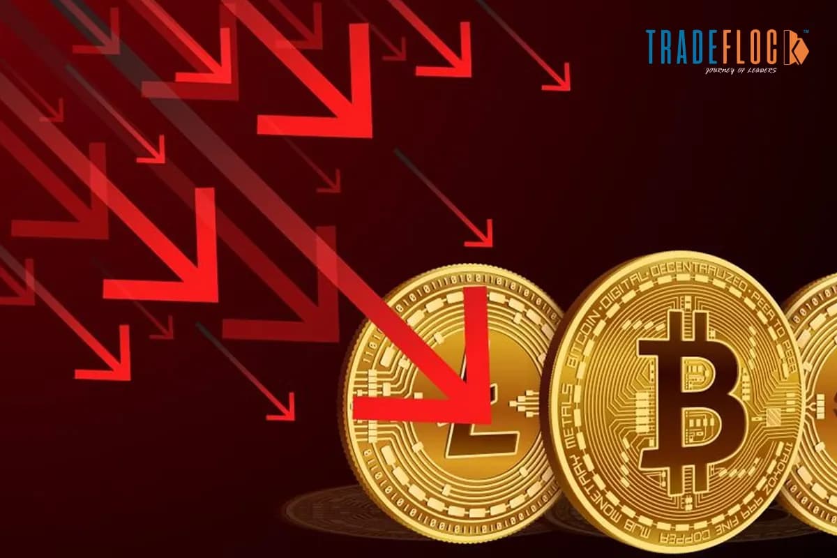 Crypto Stocks Slide as Tariff Tensions Rattle Markets