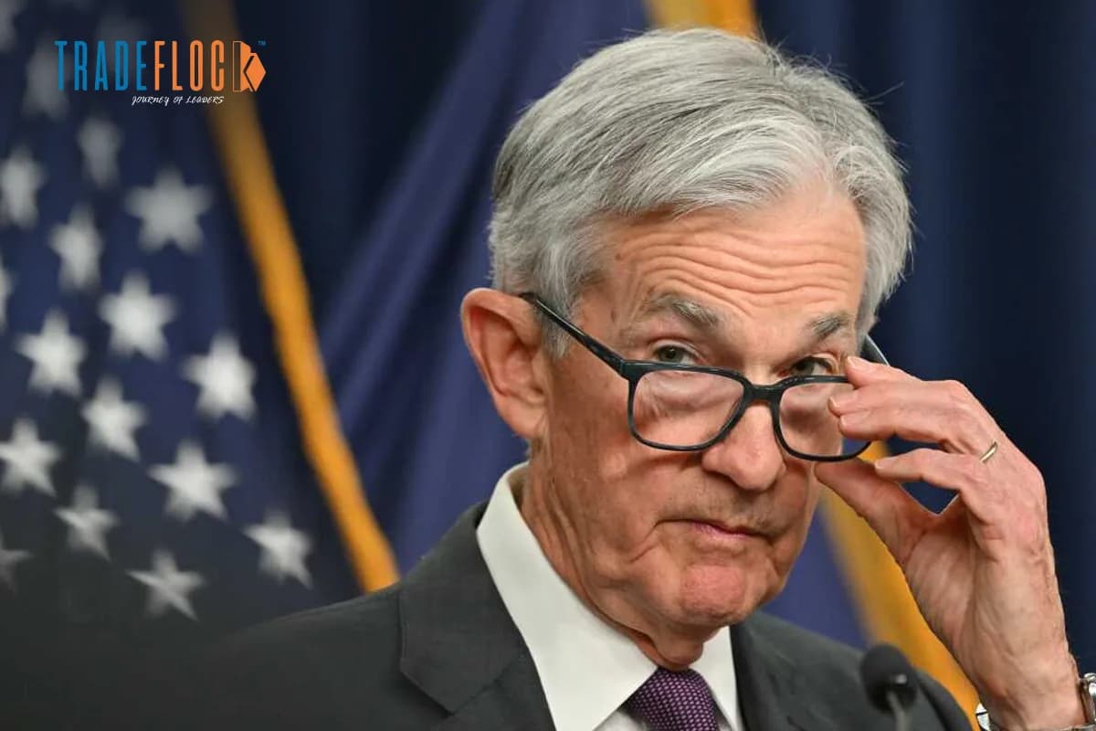 US Federal Reserve Holds Interest Rates Steady