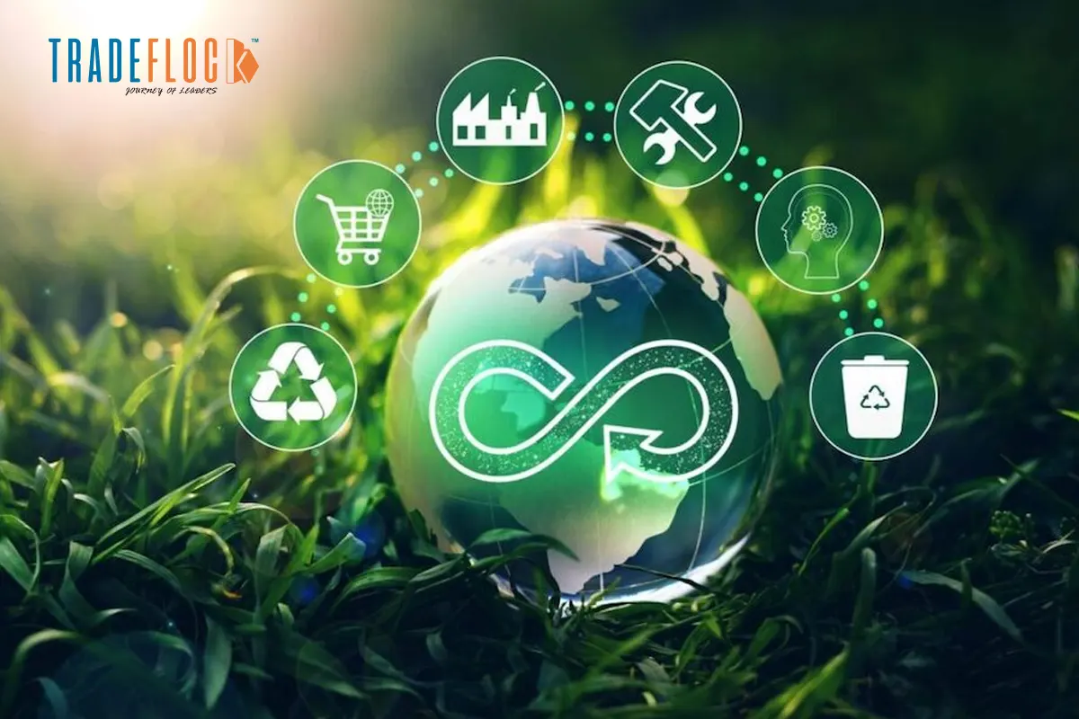 From Unicorns to Camels: Why Sustainability Matters Now?