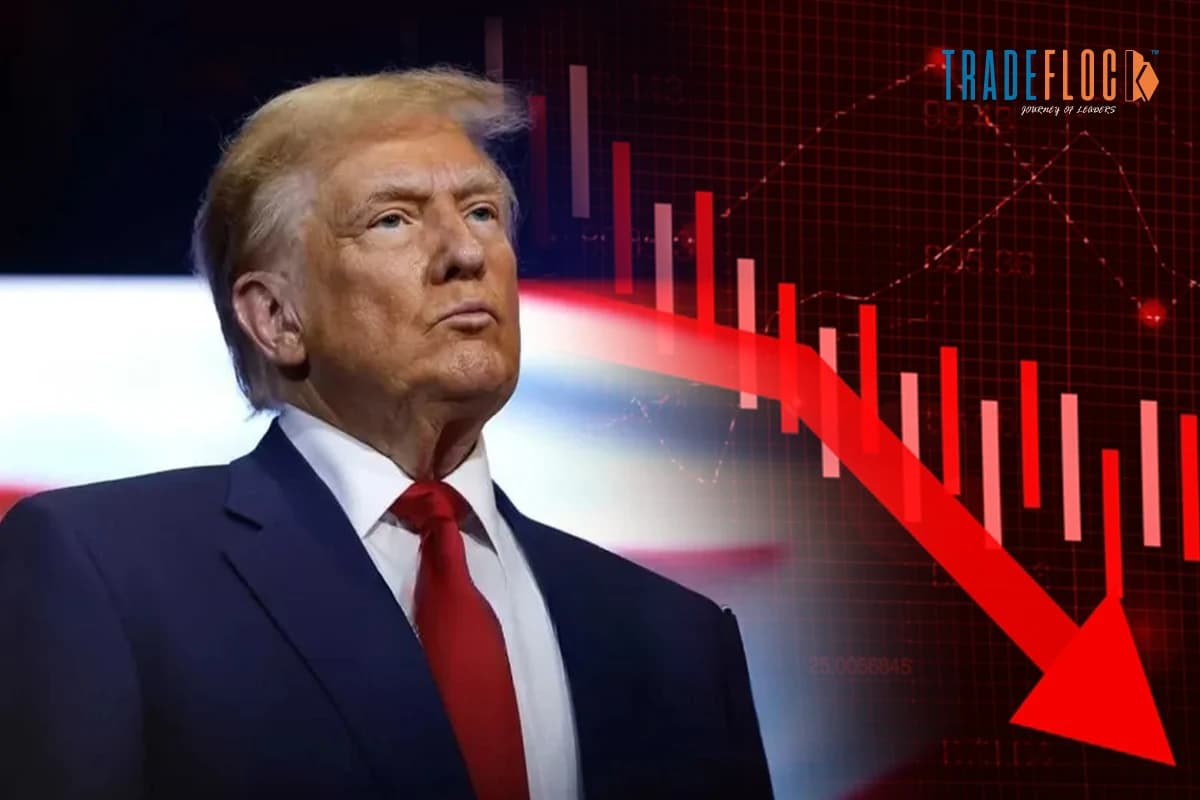 Trump Tariff Plans Hit US Stock Market Like a Wreacking Ball