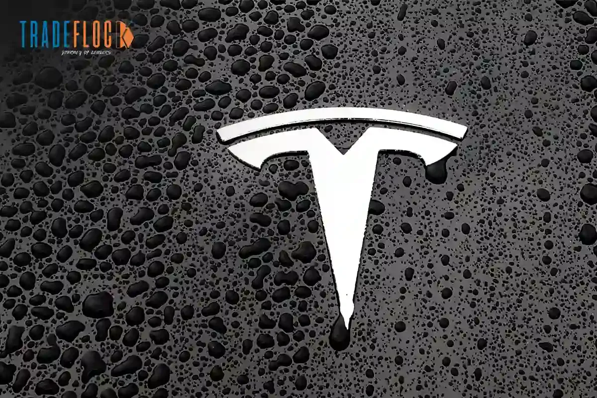 Tesla Retains Graphite Supply Deal With Syrah Resources