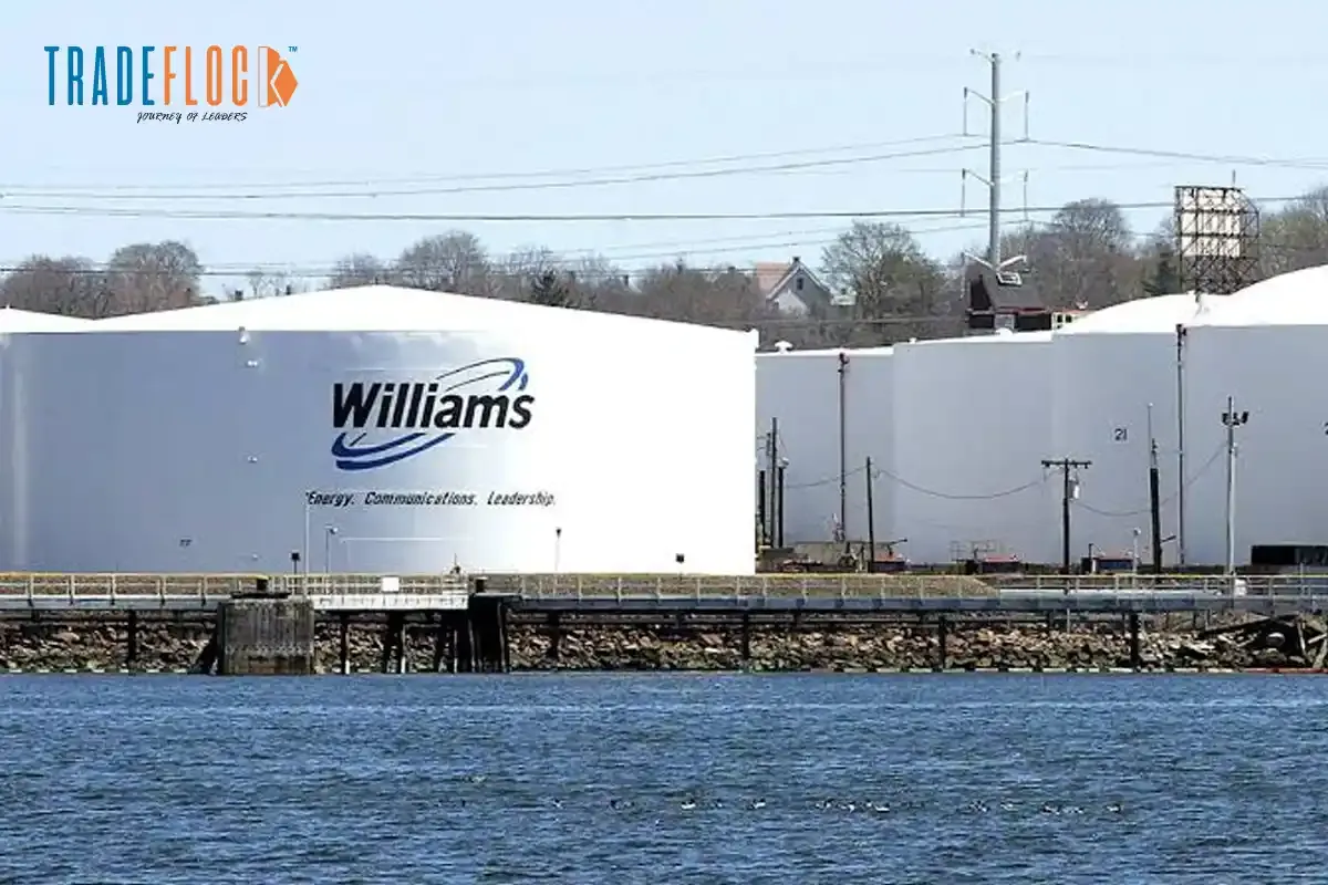 Williams in Talks for $5.5 B for Momentum Midstream Deal